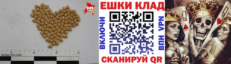 закладки  Пойковский  omg как войти  ЭКСТАЗИ XTC 