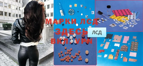 прущие крисы Абаза