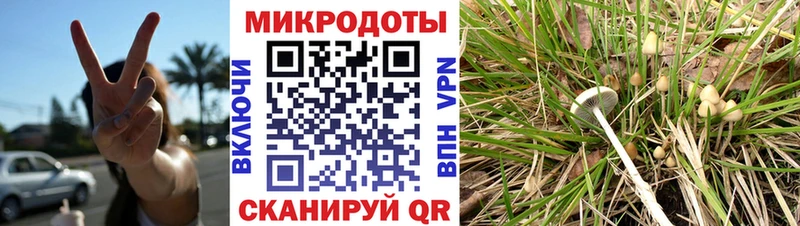 Псилоцибиновые грибы MAGIC MUSHROOMS Пойковский